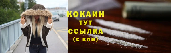 бошки Богородицк