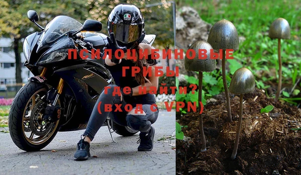 бошки Богородицк