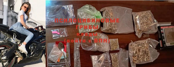 бошки Богородицк