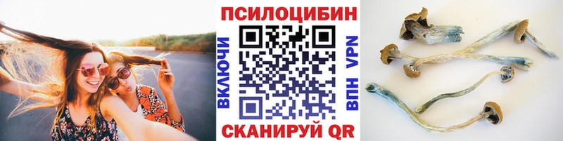 Псилоцибиновые грибы MAGIC MUSHROOMS  где купить наркоту  Дорогобуж 